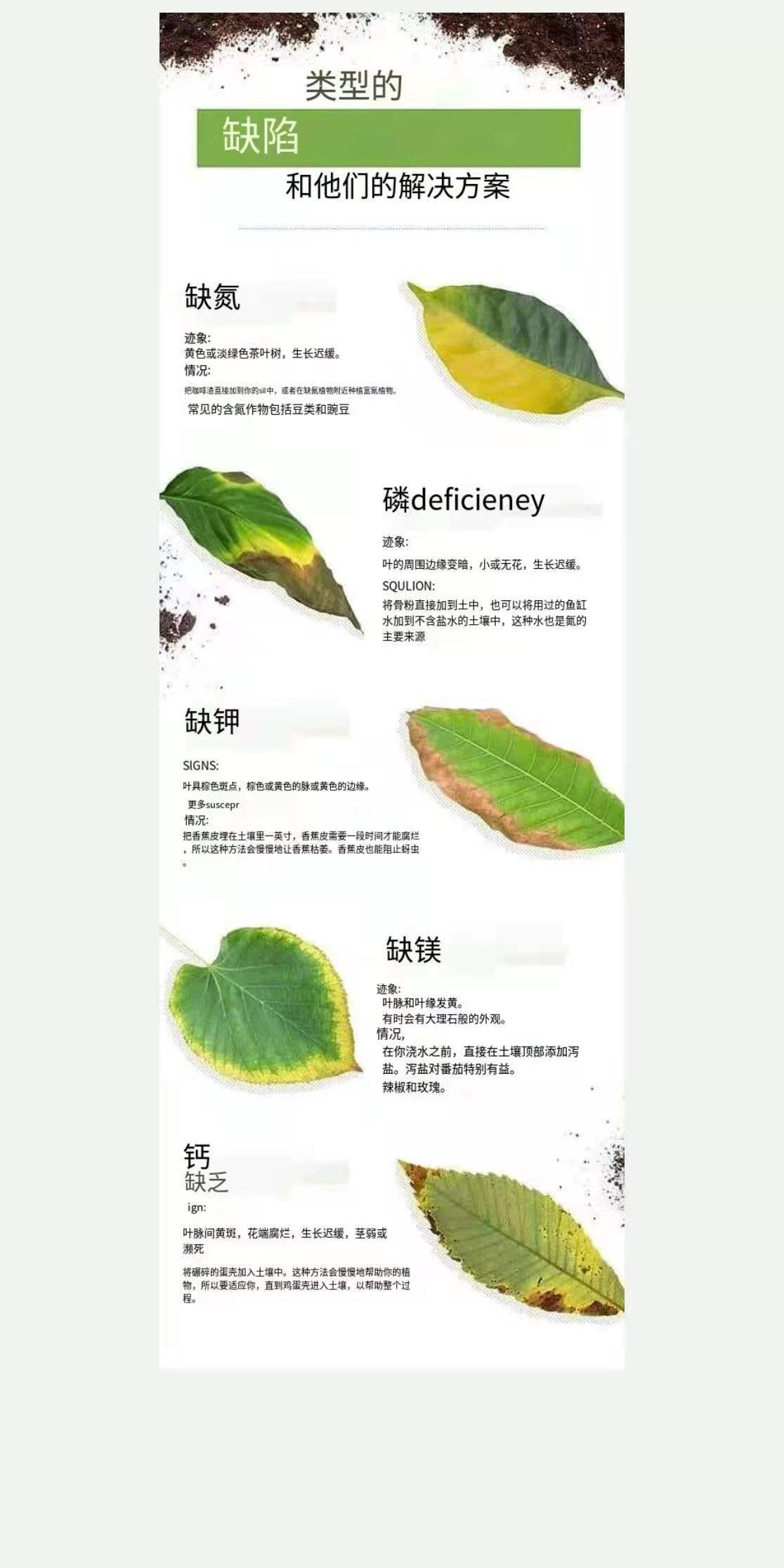 DBCAF27EE8F5F0DA1523B68198A60C43.JPG